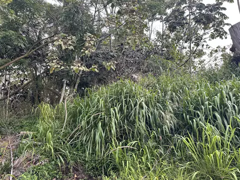 Road 5, Mountain View, HI 96771