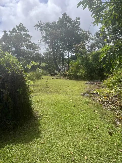 16-629 G Old Volcano Rd, Keaau, HI 96749