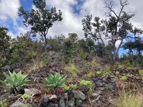 92-8484 Pineapple Pkwy, Ocean View, HI 96737