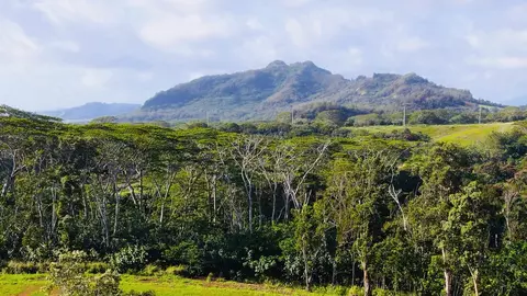 Undisclosed, Kapaa, HI 96746 photo 13