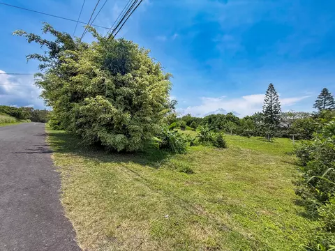 94-1381 Kaulua Cir, Naalehu, HI 96772
