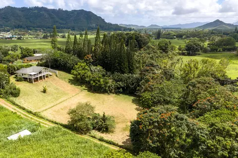 Puuopae Rd, Kapaa, HI 96746 photo 3