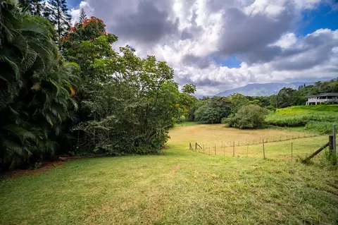 Puuopae Rd, Kapaa, HI 96746 photo 13