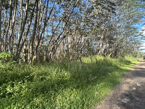 Lehua Rd, Pahoa, HI 96778