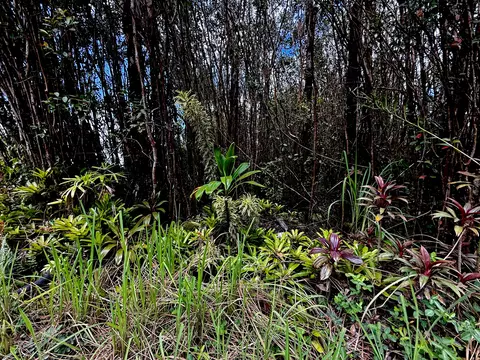 Road 1, Mountain View, HI 96771