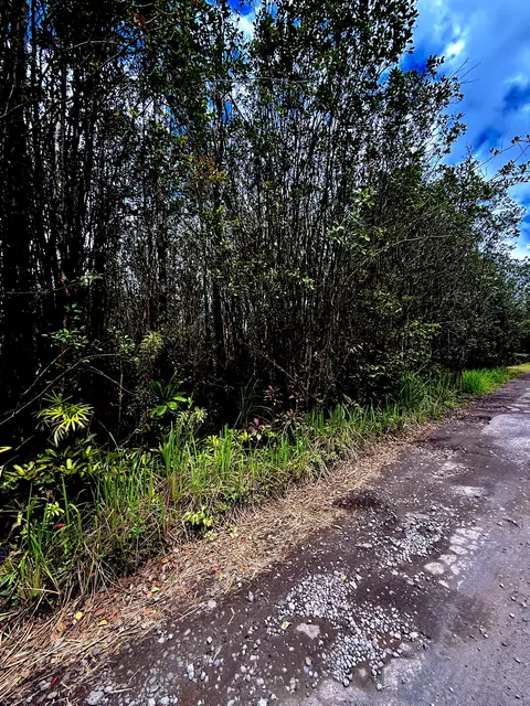 Road 1, Mountain View, HI 96771 photo 2