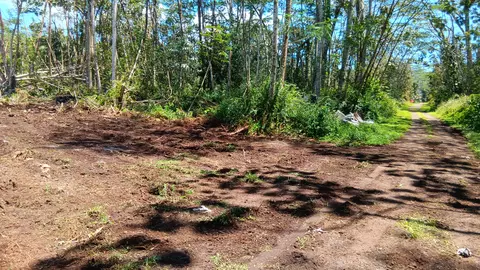 Plumeria Rd, Pahoa, HI 96778