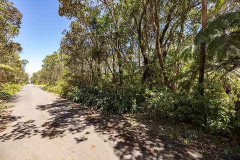 11 Th St, Volcano, HI 96785 photo 4