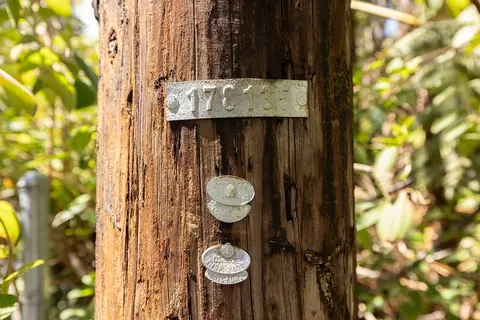 11 Th St, Volcano, HI 96785 photo 6