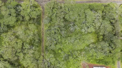14-3501 Kailua Rd, Pahoa, HI 96778