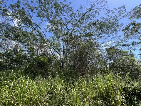 Kailua Rd, Pahoa, HI 96778