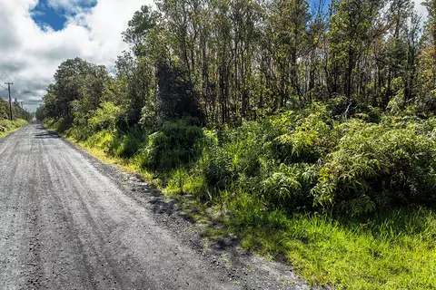 Makoa Rd, Volcano, HI 96785 photo 11