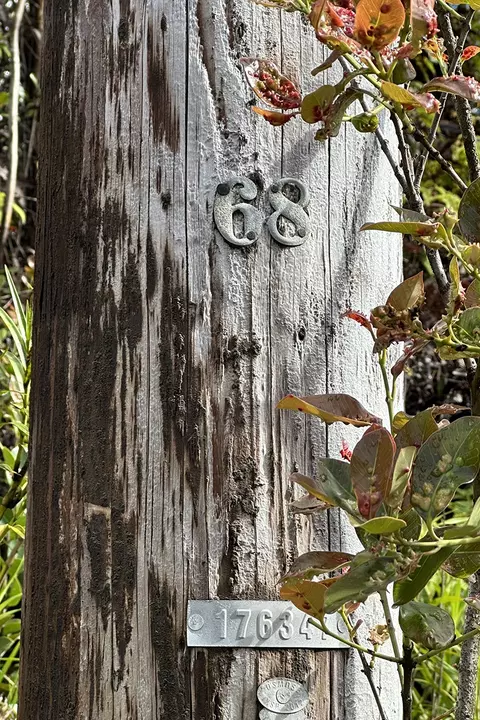 Makoa Rd, Volcano, HI 96785 photo 13