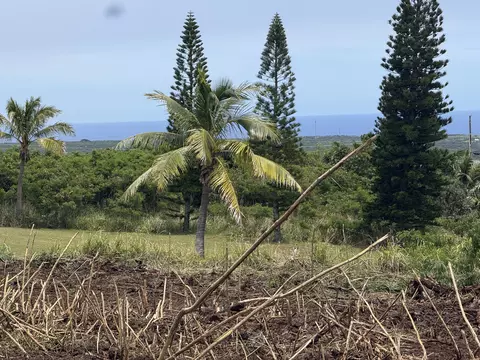 Kaulua Circle, Naalehu, HI 96772