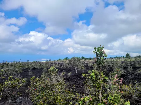 Undisclosed, Ocean View, HI 96737