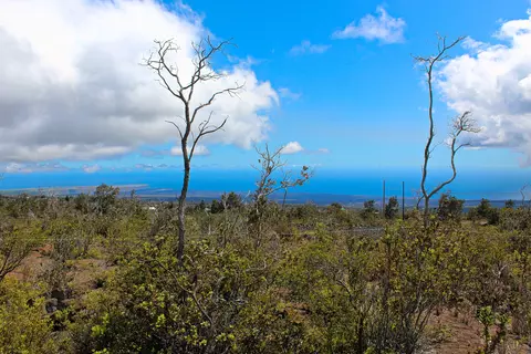 Koa Ln, Ocean View, HI 96737 photo 5