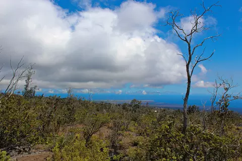 Koa Ln, Ocean View, HI 96737 photo 14