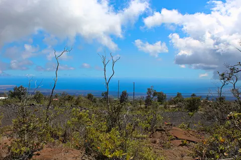 Koa Ln, Ocean View, HI 96737 photo 9