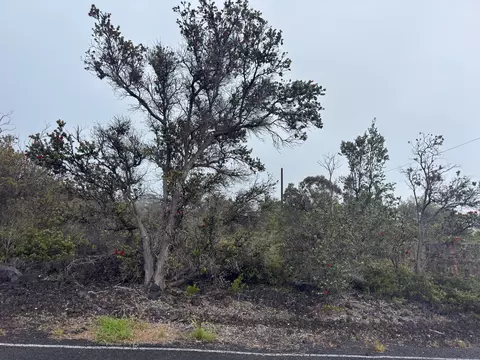 Plumeria Ln, Ocean View, HI 96737