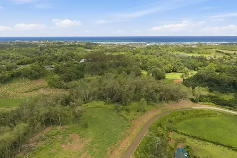 Undisclosed, Kapaa, HI 96746 photo 25