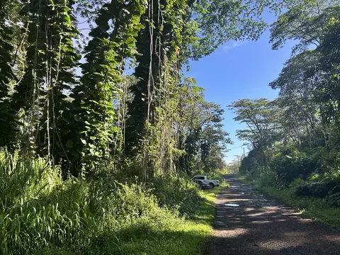 14-3491 Plumeria Rd, Pahoa, HI 96778