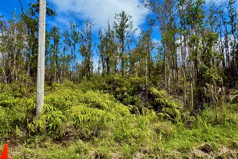 11-2466 Makoa Rd, Volcano, HI 96785