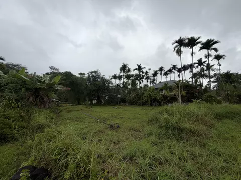 Iwasaki Village, Kurtistown, HI 96760