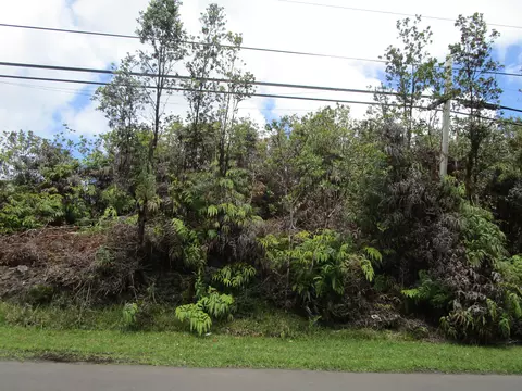 Palainui Ave, Mountain View, HI 96771