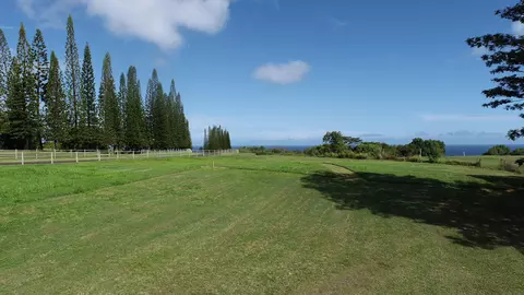 3693 Kuula Pl #49, Kilauea, HI 96754