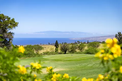 68-1767 Melia St #D106DL2, Waikoloa, HI 96738