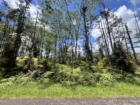 Pikake Rd, Pahoa, HI 96778