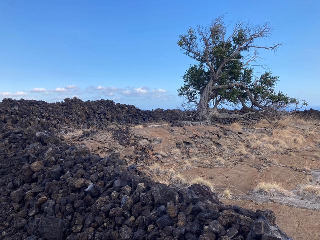 Leilani Makai Rd, Ocean View, HI 96737