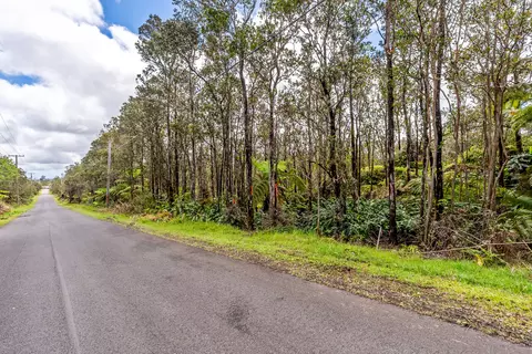 11-3187 Alaula St, Volcano, HI 96785