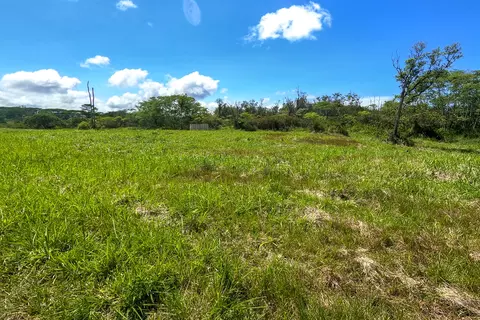 17-820 Manaolana Rd, Kurtistown, HI 96760