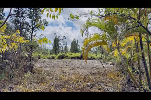 Uhini Ana Rd, Kurtistown, HI 96760