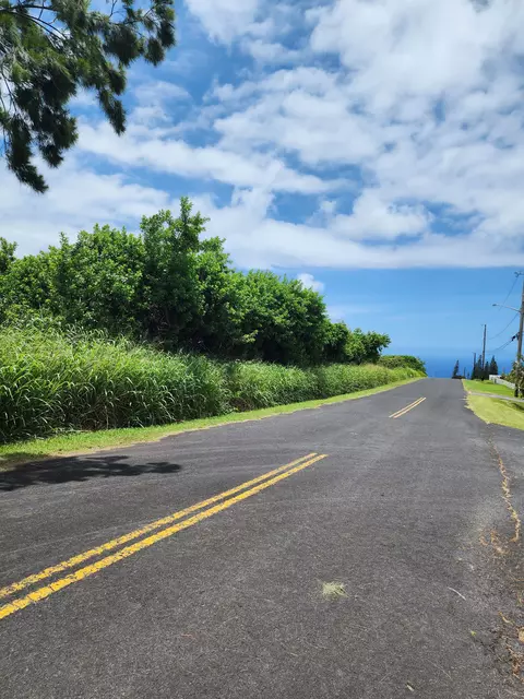 94-1674 Lewa Lani St, Naalehu, HI 96772