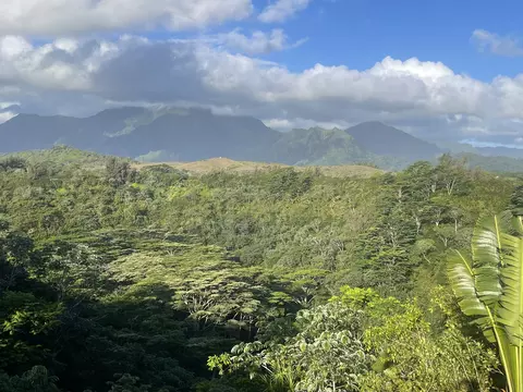 5250 Kahiliholo Rd # -D, Kilauea, HI 96754