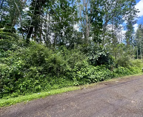 Plumeria Rd, Pahoa, HI 96778