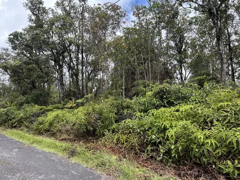 Ala Naulani Rd, Volcano, HI 96785