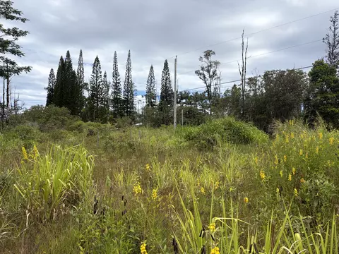 16-1889 36th Ave, Kurtistown, HI 96760