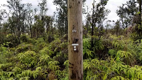 Omeka Rd, Volcano, HI 96785 photo 6