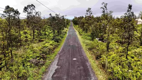 Omeka Rd, Volcano, HI 96785 photo 7