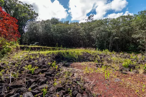Akolea Road, Hilo, HI 96720 photo 6