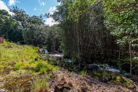 Akolea Road, Hilo, HI 96720 photo 13