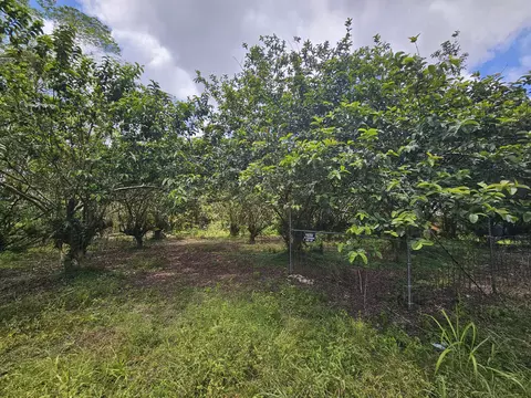 34 Th Ave, Kurtistown, HI 96760