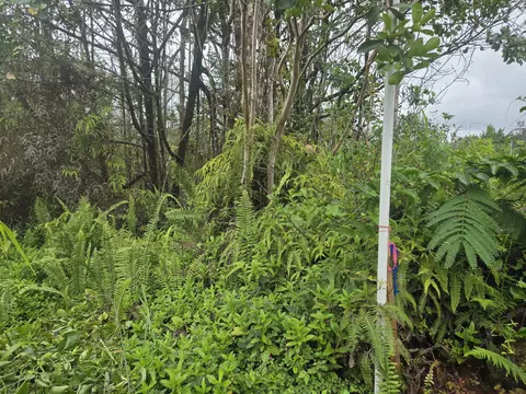 34 Th Ave, Kurtistown, HI 96760