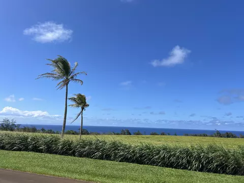 uli road LOT 2, Hawi, HI 96719