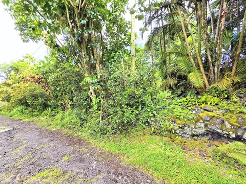 Aloha Rd, Pahoa, HI 96778