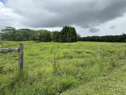 17-461 Hale Pule Loop, Kurtistown, HI 96760