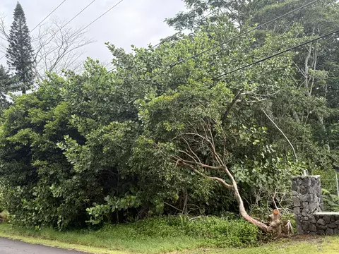 15-1611 Beach Rd, Keaau, HI 96749
